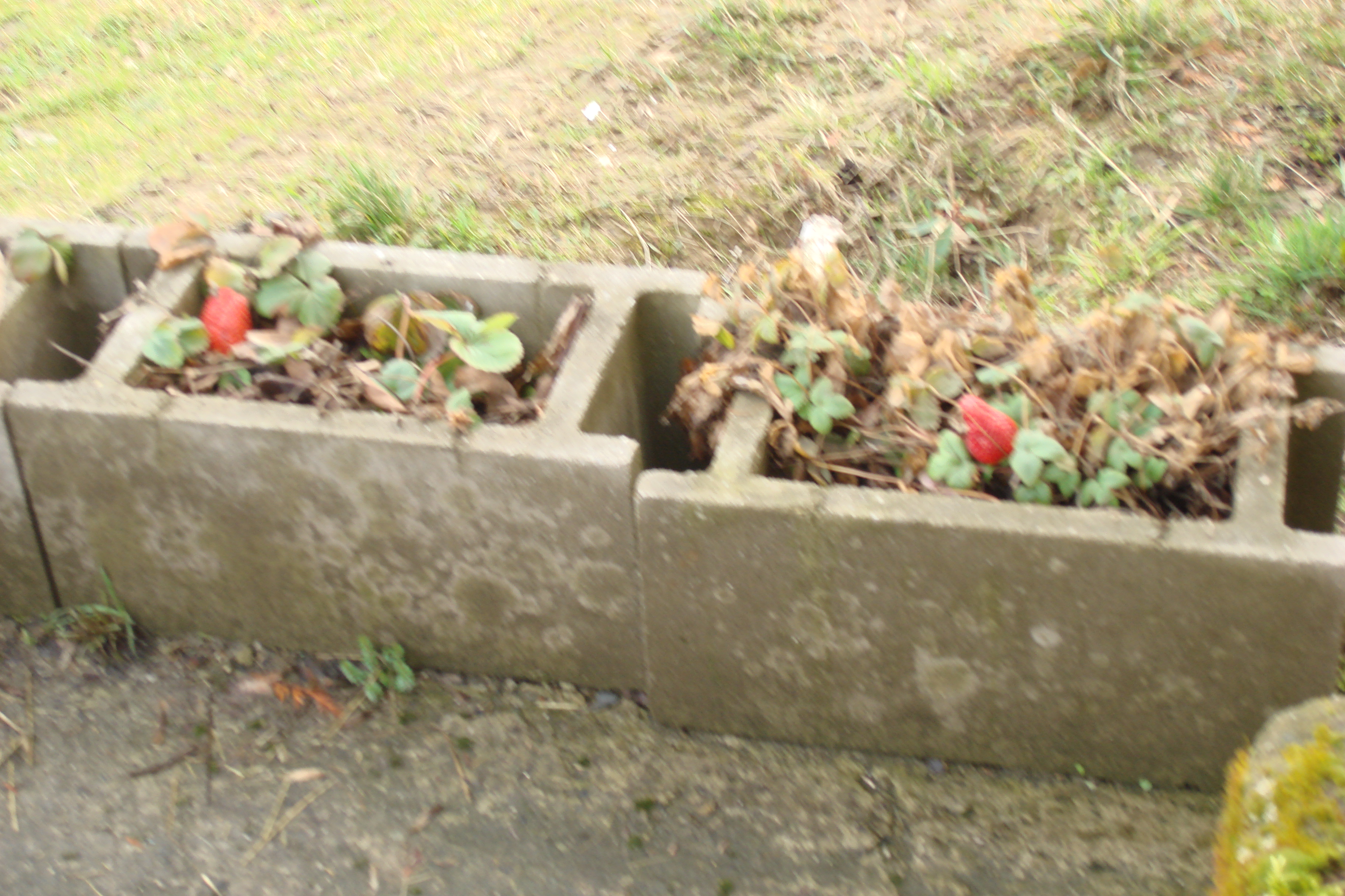 DSC05698.JPG