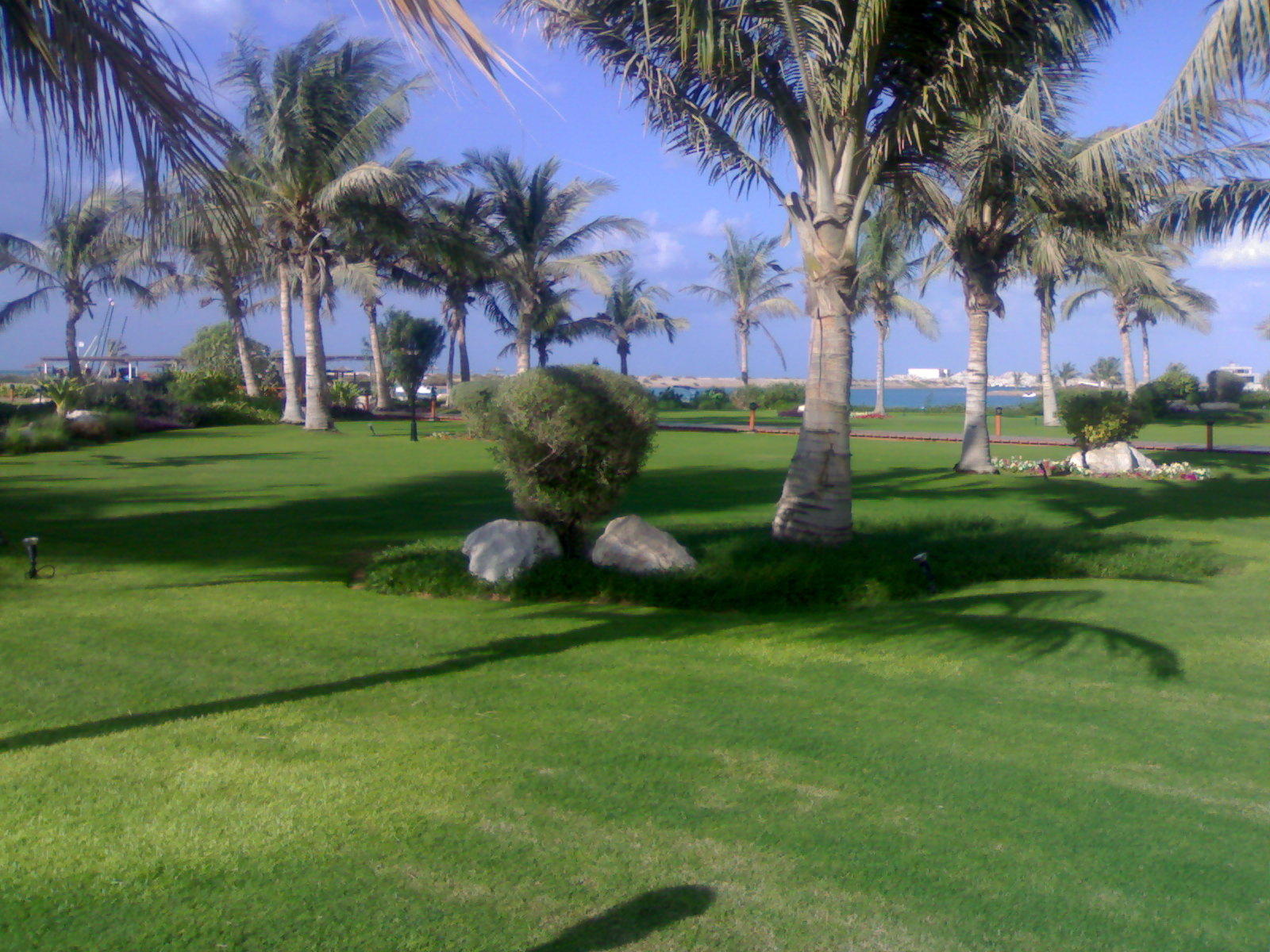 29112007069.jpg